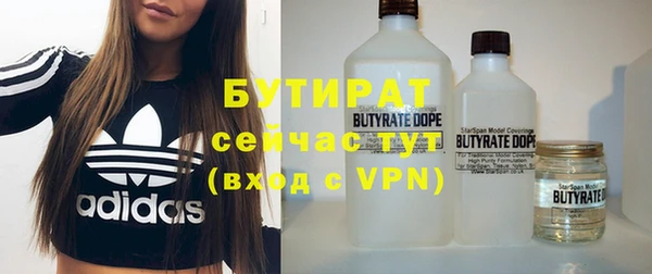 индика Алзамай