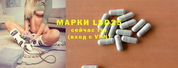 индика Алзамай