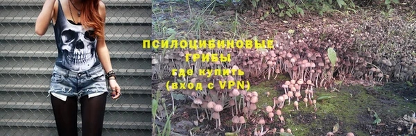 индика Алзамай