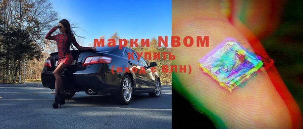 индика Алзамай