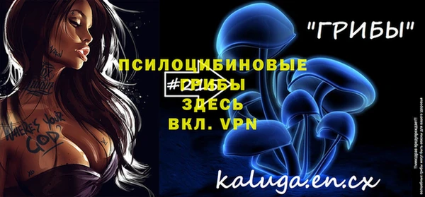 индика Алзамай