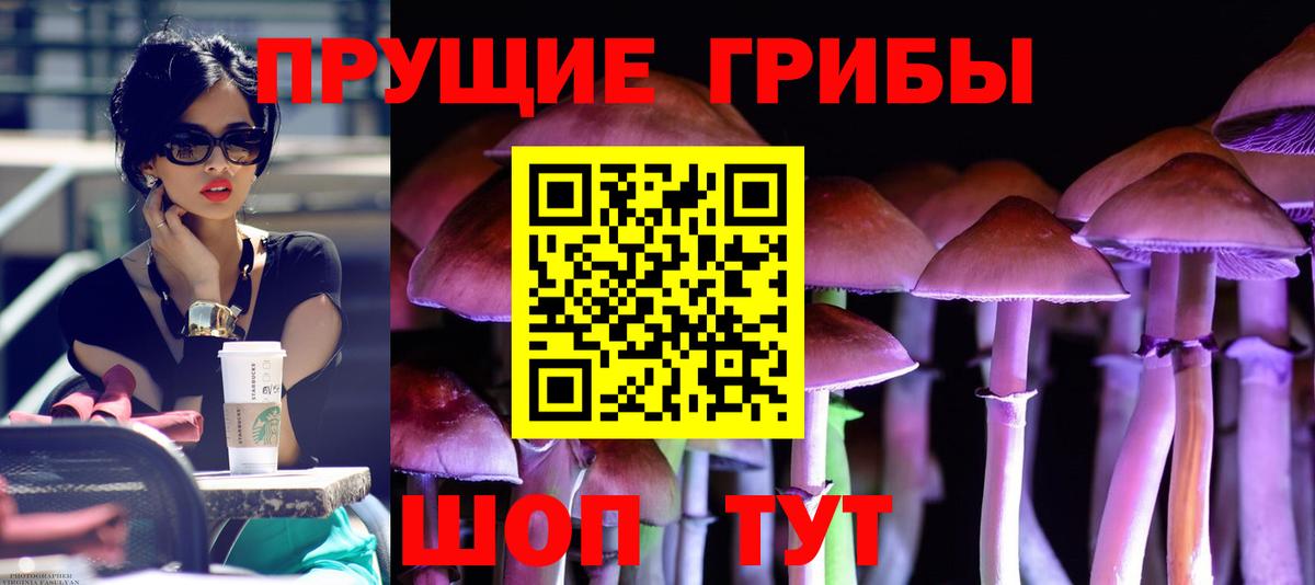 Галлюциногенные грибы ЛСД Сосновоборск